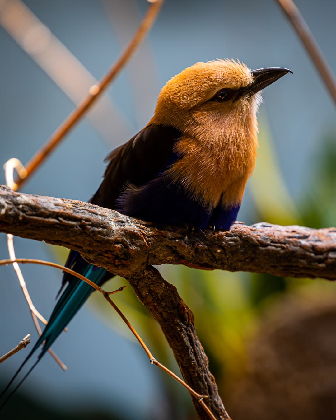 Bird perched on tree branch